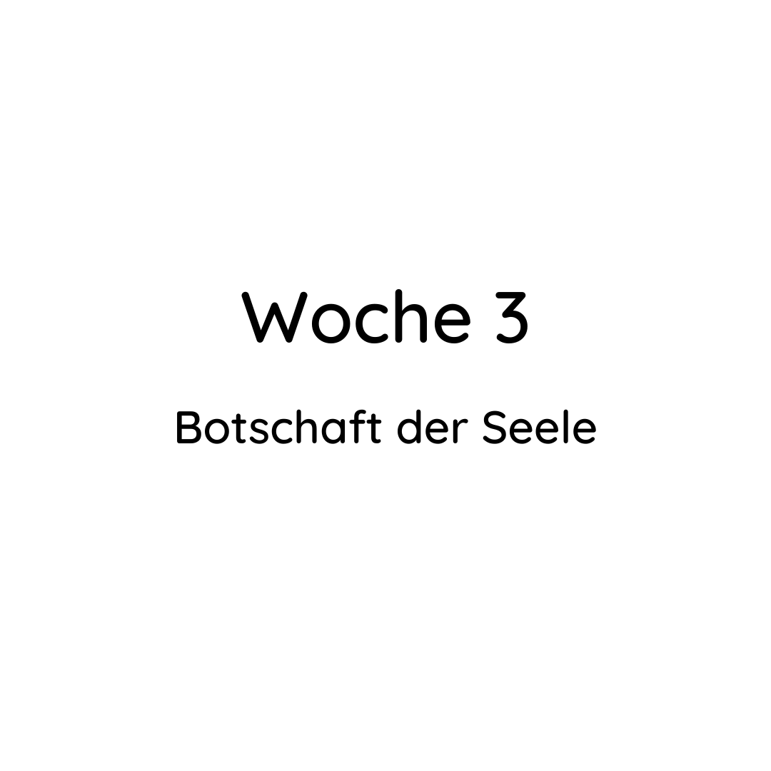 Lara Kammerer Gesundheitsglück