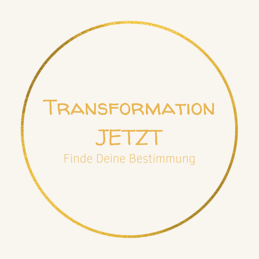 Lara Kammerer TransformationJETZT