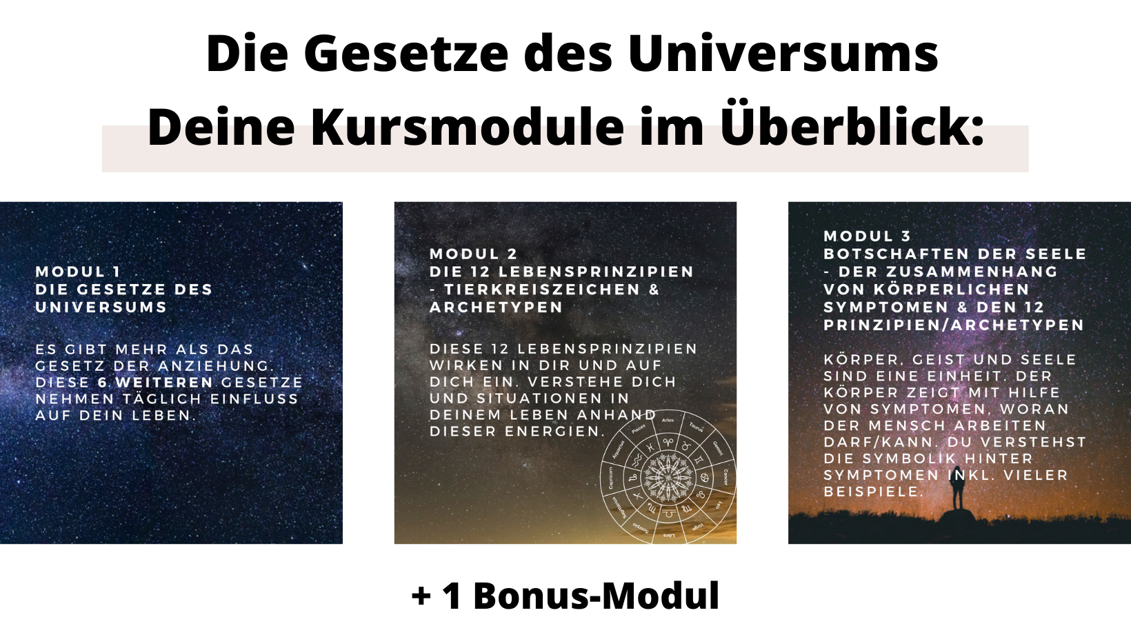 Lara Kammerer Archetypische Kombinationslehre